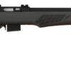 Rossi RB17H2111 RB17  Full Size 17 HMR 5+1, 21" Matte Black Button Rifled Free Floating Steel Barrel, Matte Black Stainless Steel Receiver, Black Fixed Monte Carlo Stock, Right Hand