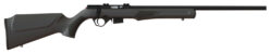 Rossi RB17H2111 RB17  Full Size 17 HMR 5+1, 21" Matte Black Button Rifled Free Floating Steel Barrel, Matte Black Stainless Steel Receiver, Black Fixed Monte Carlo Stock, Right Hand