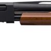 Winchester Repeating Arms 512367690 SXP Field Youth 20 Gauge 24" 5+1 3" Matte Black Rec/Barrel Satin Walnut Stock Right Hand Includes 3 Invector-Plus Chokes