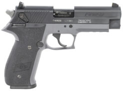 GSG GERG2210FFS FireFly  22 LR 10+1 4" Black Serrated Slide, Smoke Zinc Alloy w/Accessory Rail Frame, Black Polymer Grip