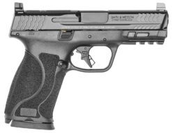 Smith & Wesson 13389 M&P M2.0  Full Size 10mm Auto 15+1, 4" Black Armornite Stainless Steel Barrel, Optic Cut/Serrated Stainless Steel Slide, Matte Black Polymer Frame w/Picatinny Rail