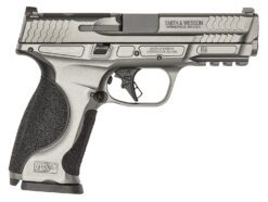 Smith & Wesson 13194 M&P M2.0 Optic Ready 9mm Luger 17+1 (3) 4.25", Tungsten Gray, Aluminum Frame with Picatinny Rail, Optic Cut Slide, Interchangeable Backstrap Grip, Ambi Controls