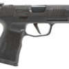 Sig Sauer 365XL9BXR3P P365XL  9mm Luger 12+1 3.70" Black Barrel, Black Nitron Optic Ready/Serrated SS Slide, Black SS Frame w/Beavertail &  Black Polymer Grips