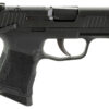 Sig Sauer 365380BSSMSMA P365  380 10+1 3.10" Nitron
