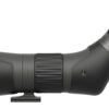 Leupold 185683 SX-2 Alpine HD Angled Body 20-60x 60mm Black