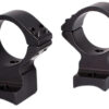 Talley 940769 Scope Mount/Ring Combo  Black Anodized Aluminum 1" Tube, CZ 600 Lux/600 Range, Medium Rings