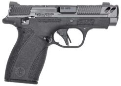 S&W BODYGRD 2.0 PC 14417 380 3.1 10/12R GRY/BLK TS