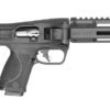 Smith & Wesson 14172 M&P FPC Folding 22 LR 10+1 16.25" Black Threaded Barrel, Black Polymer Receiver w/Picatinny Rail, M-LOK Handguard, Black Fixed Polymer Stock, Interchangeable Backstrap Grip