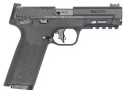 Smith & Wesson 14313 M&P 22x 22 LR 10+1 4.10"