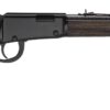 Henry H001GG22 Garden Gun  22 S/L/LR 15/17/21+1 18.50" Blued Round Barrel, Black Aluminum Grooved Receiver, Black Ash Straight Grip Wood Stock