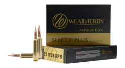WTHBY B25RPM117LRX 25WBY RPM 117G BARNES LRX 20/10