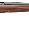 Browning 036128224 X-Bolt 2 Hunter 270 Win 4+1 22" Matte Blued Threaded Barrel & Steel Drilled & Tapped Receiver, Satin Black Walnut Fixed Stock, Right Hand