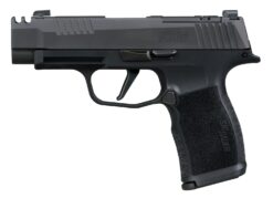 Sig Sauer 365XL380COMP10 P365XL 380 ACP 10+1 3.10" Black Ported Barrel, Black Nitron Stainless Steel Optic Cut/Ported/Serrated Slide, Black Stainless Steel Frame w/Picatinny Rail, Textured Grip, SIG-L