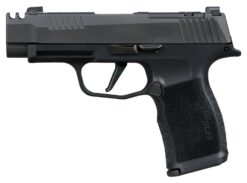 Sig Sauer 365XL380COMP P365XL  380 ACP 12+1 3.10" Black Ported Barrel, Black Nitron Stainless Steel Optic Cut/Ported/Serrated Slide, Black Stainless Steel Frame w/Picatinny Rail, Textured Grip, SIG-LO