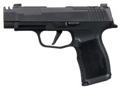 Sig Sauer 365XL380COMPMS P365XL  380 ACP 12+1 3.10" Black Ported Barrel, Black Nitron Stainless Steel Optic Cut/Ported/Serrated Slide, Black Stainless Steel Frame w/Picatinny Rail, Textured Grip, SIG-