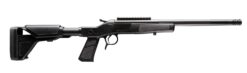 CVA CR4434XP Cascade XP-SB SBR 223 Rem 1rd 16.50" Matte Fluted Threaded Barrel Matte Stainless Steel Receiver Picatinny Rail Receiver Graphite Black Adj Buffer Tube Synthetic Stock Black Grip