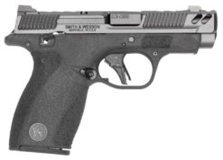 Smith & Wesson 14419 Bodyguard 2.0 Bodyguard 2.0 Carry Comp *CA Compliant Micro 380 ACP 10+1 3.10" Black Armornite PowerPort Vented Barrel, Gray Armornite Stainless Steel Ported/Serrated Slide, Black