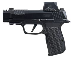 Sig Sauer  P365 AXG LUXE w/Optic Micro-Compact 380 ACP 12+1 3.10" Black Barrel, Black Pearlescent Cerakote Stainless Steel Integrated Compensator/Optic Ready/Serrated Slide, Black Frame w/Picatinny Ra