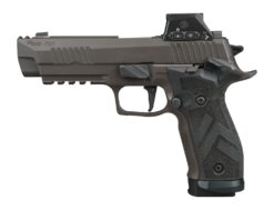 Sig Sauer 226X59LEGIONSAORXSL P226 X5 Legion w/Optic Full Size 9mm Luger 20+1 4.40" Legion Gray Cerakote Stainless Steel Integrated Compensator/Serrated w/Optic Slide & Alloy Frame w/Picatinny Rail, L