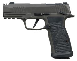 Sig Sauer 365AXGCA9LEGIONMSMA P365 AXG Legion MA Compliant Compact 9mm Luger 10+1 3.10" Black Barrel, Legion Gray Cerakote Stainless Steel Integrated Compensator/Optic Ready Slide & Frame w/Picatinny