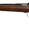 Chipmunk 0001LH Youth  Youth 22 LR 1rd 16.13" Blued Steel Barrel & Receiver, American Walnut Fixed Wood Stock, Left Hand