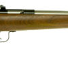 Crickett KSA3238 Youth  22 LR 1rd 16.12" Stainless Steel Barrel, Fixed Front/Adjustable Rear Peep Sights, Walnut Stock w/11.5" LOP, Rebounding Firing Pin Safety