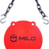 10 Inch Steel Logo Gong
