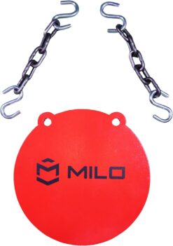 10 Inch Steel Logo Gong