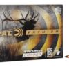 Federal P300WTC2 Premium  300WinMag 165gr Trophy Copper 20 Per Box/10 Case