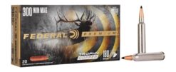 Federal P300WTC1 Premium  300WinMag 180gr Trophy Copper 20 Per Box/10 Case