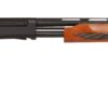 P410 20GA WOOD 28 MCH PUMP SG