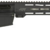 APF 300WIN 22 BLACK 4 5RD MAG MLR HARD CASE