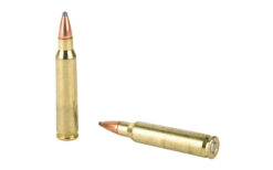 ARMSCOR 223REM 55GR PSP 20/1000 - Image 4