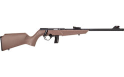 ROSSI RB 22LR 16" 10RD COMPACT FDE - Image 2