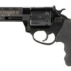 CHARTER ARMS PTHFNDR II 22LR 8RD BLK