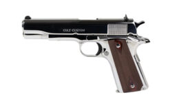 COLT GOVT MODEL 38SUP 5" SS 9RD