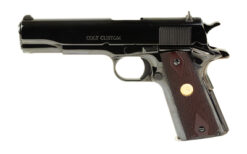 COLT GOVT MODEL 38SUP 5" RYL BLU 9RD