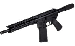 DBF DB15 5.56 10" W/9" MLK 30RD BLK - Image 3