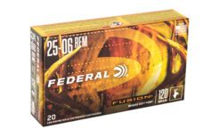 FUSION 25-06 120GR 20/200 - Image 2