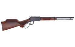HENRY H1 SPORTER 17HMR 18.5" 12RD TB