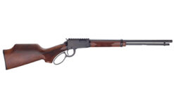 HENRY H1 SPORTER 22WMR 16.5" 10RD TB