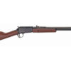 HENRY H3 FRONTIER PUMP 22LR 18.25"