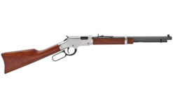 HENRY H4 GLDN BOY SLVR CMPT 22LR - Image 2