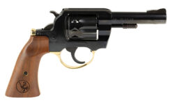 HENRY H16 GLDN RVLVR 22LR 10RD 4" GF - Image 2