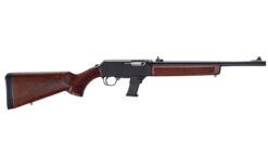 HENRY H27 HMSTDR 9MM 10RD FITS GLK - Image 2