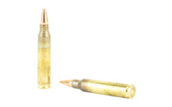 FRONTIER 223REM 55GR HP MATCH 20/500 - Image 4