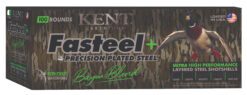 KENT FASTEEL+ BAYOU 20GA 1OZ #2X5 100/2