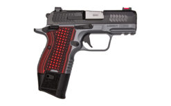 KIMBER CDS9 9MM OR RL 15RD GRY/BLK - Image 2