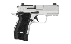 KIMBER CDS9 9MM 15RD 3.18" OR SLV - Image 2