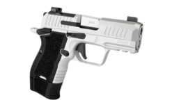 KIMBER CDS9 9MM 15RD 3.18" OR SLV - Image 3